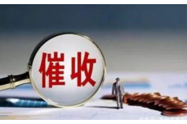 槐荫债务清欠服务